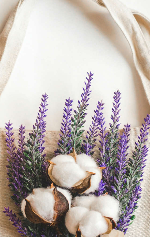 生物降解材料類(lèi)